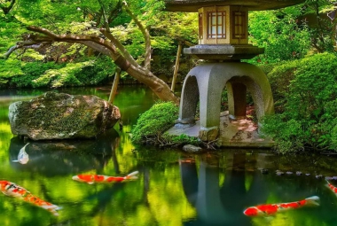 Japan garden
