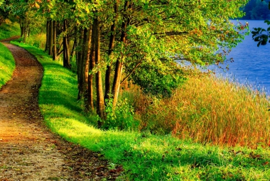Path beauty